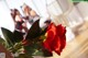 A red rose sitting on top of a wooden table.